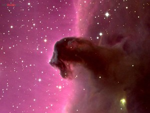 Horsehead Nebula (Barnard 33)