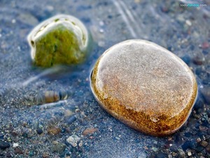 Stones on the river