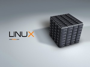 Cube of Linux processors