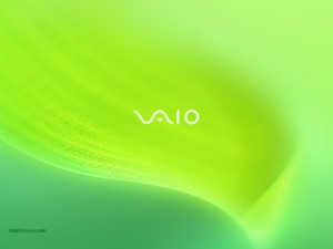 VAIO, on green background