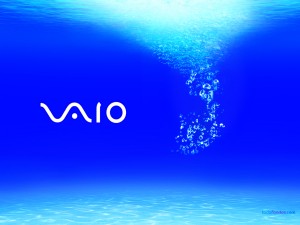 VAIO in the water