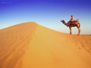 Crossing the desert by camel