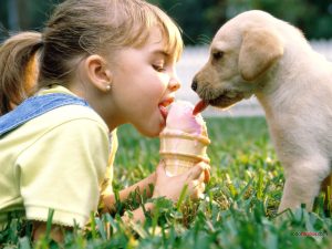 Girl and puppy sharing an ice cream