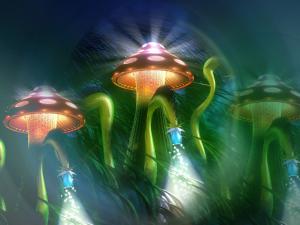 Luminous mushrooms