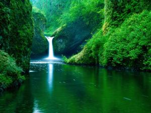 Waterfall on green background