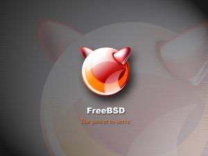 FreeBSD, the power to serve