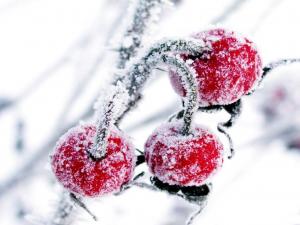 Frozen fruits