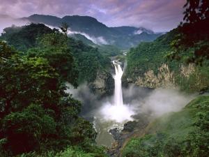Yasuni National Park (Ecuador)