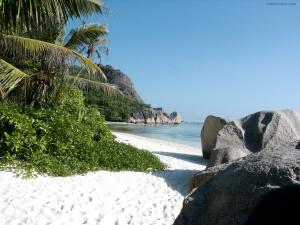 Beach with vegetation and white sand