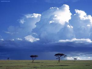 Storm over the savannah, Masai Mara National Reserve, Kenya
