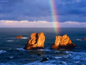 Rainbow rising from the sea