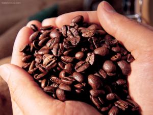 A handful of coffee beans