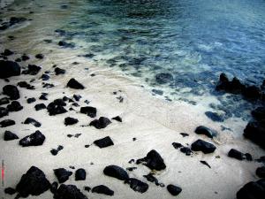 Beach with black rocks
