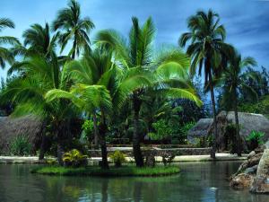 Isle of palms
