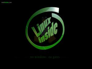 Linux inside (no windows no gates)