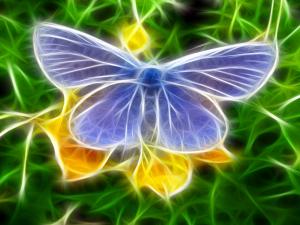 Digital butterfly