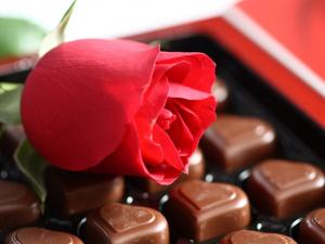 A red rose with chocolate bonbons