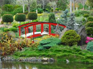 Red bridge in a japanese garden