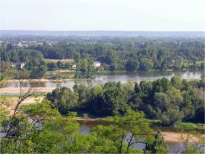 Confluence of the Loire and the Vienna (France)