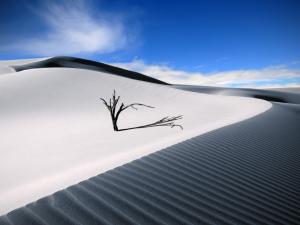 White dune