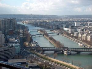 The river Seine (Paris, France)