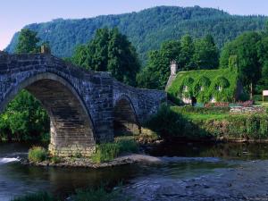 Old stone bridge surrounded by nature