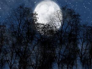Full moon behind trees