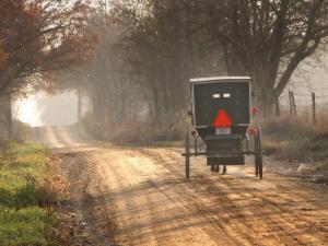 Amish horse and buggy, near Topeka, Indiana