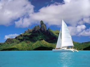 Catamaran sailing furrowing blue waters