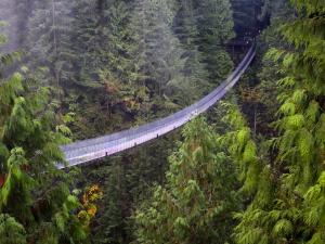 The Capilano Suspension Bridge (British Columbia, Canada)