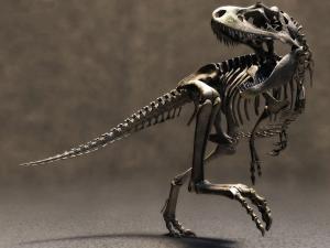 Skeleton of a Tyrannosaurus rex