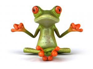 Yogi frog