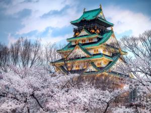 Japanese temple surrounded by cherry blossoms