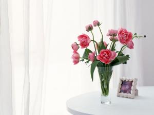 Pink peonies in a glass vase