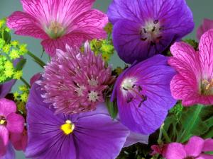 Floral set in lilac tones