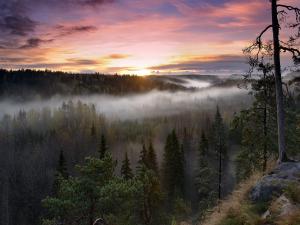 Nuuksio National Park, Finland