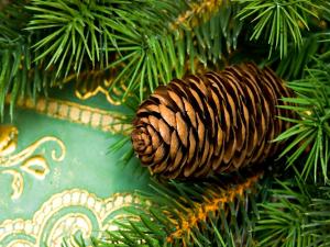 Christmas pinecone