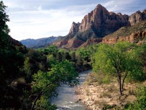Virgin River, a tributary of the Colorado River