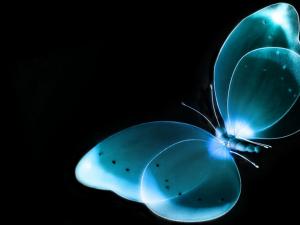 Fluorescent blue butterfly
