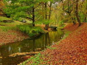 Crystalline water river in autumn