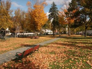 A small park in autumn