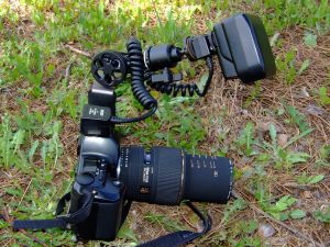 Analog Nikon F601 camera, with Sigma 105 EX DG macro