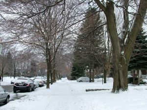 A snowy neighborhood in the city of Toronto, Canada