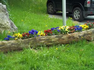 Nice planter made ​​with a trunk