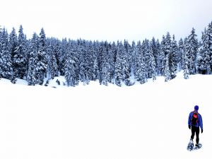 Trekking through the snow