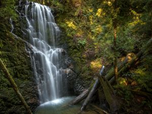 Berry Creek Falls, Big Basin Redwoods State Park, California