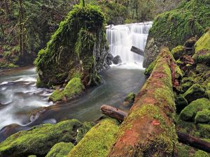 Waterfalls on the East Fork Coquille River, Oregon (USA)