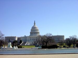 The United States Capitol, Washington D.C.