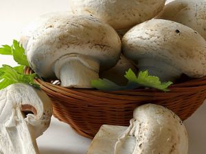 Basket of champignons