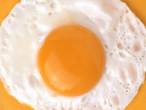 A grilled egg